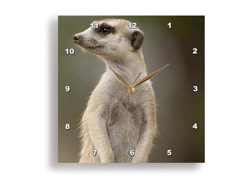 Namibia Keetmanshoop Meerkat Burrow Wall Clock 13 Inch Home Decor image number 1