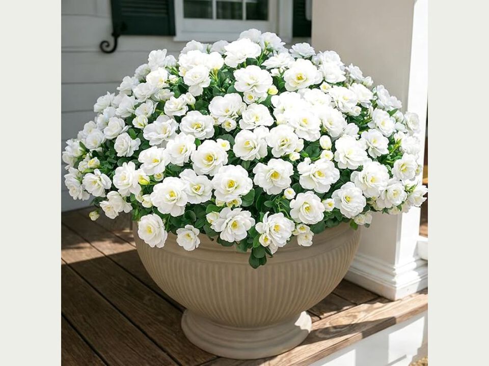 White Artificial Outdoor Plants UV Resistant Garden Porch Decor