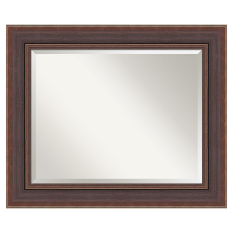 Moab Brown Bronze Beveled Framed Wall Mirror image number 0