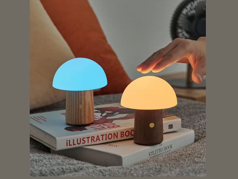 Portable Cordless Table Lamp with Fabric Shade and Dimmable Light image number 2