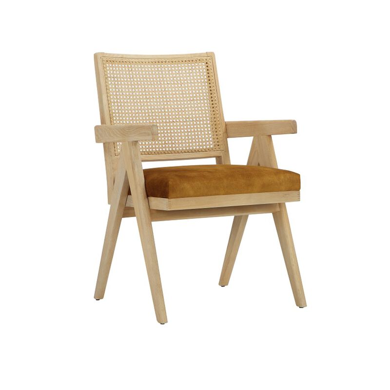 Pangea Home Lev Armchairs Velvet Gold