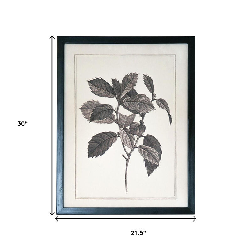 HomeRoots Set of Two Black And White Botanical Leaves Framed Art image number 6