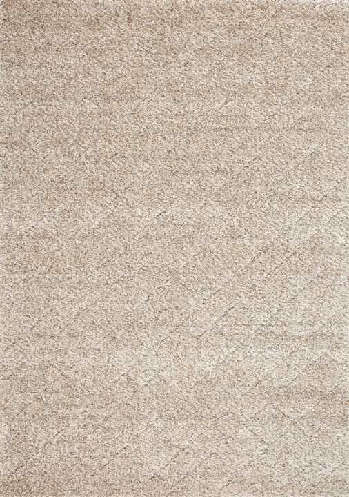 HomeRoots Geometric Area Rug