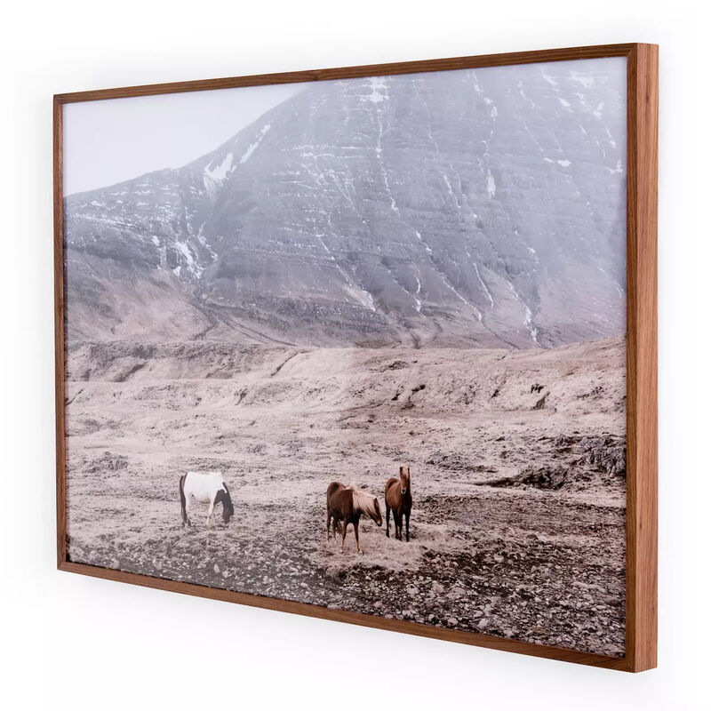 Wild Horses image number 1