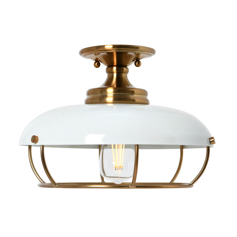 Presley Caged Dome Metal Semi-Flush Mount Ceiling Light image number 0