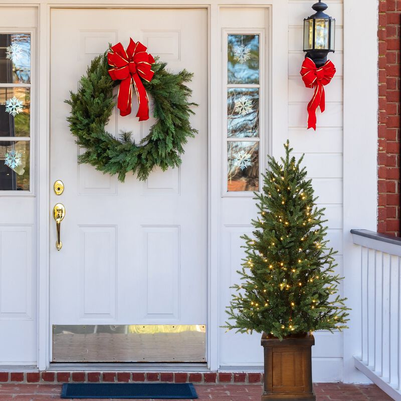 4.5 Foot New Haven Fraser Fir Potted Tree image number 4