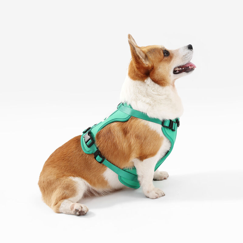 Arlo Adjustable Soft Padded No Pull Pet Harness with 3 Buckles and 3 Leash Clips