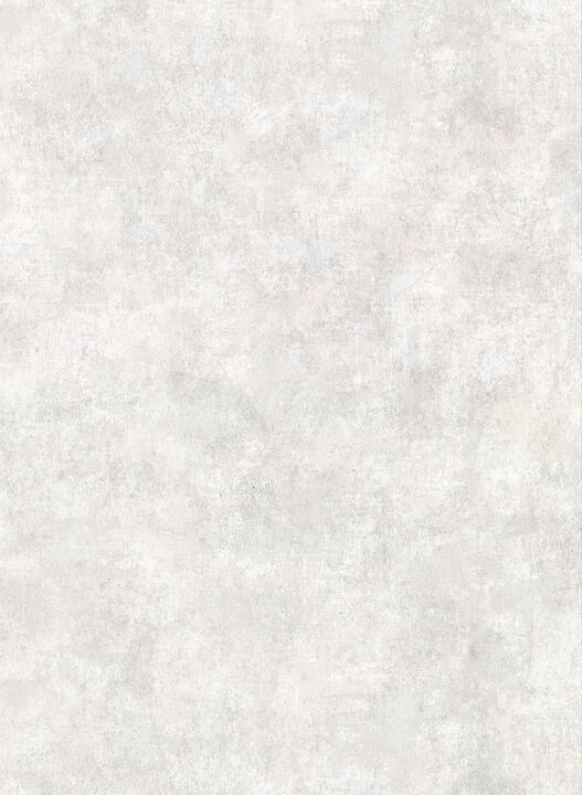 Hereford Light Grey Faux Plaster Wallpaper