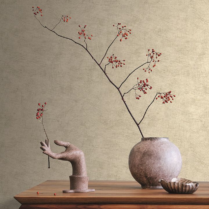 Pampas Plain Brushed Texture Wallpaper