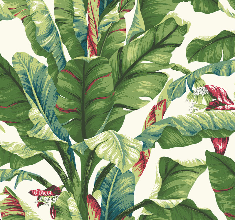 Banana Leaf Aqua & Red Wallpaper image number 0