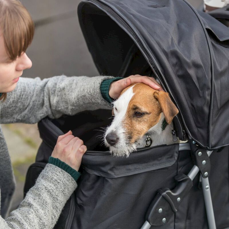 TRIXIE 3-Wheeled Foldable Dog & Cat Stroller with Canopy and Storage Compartments image number 1