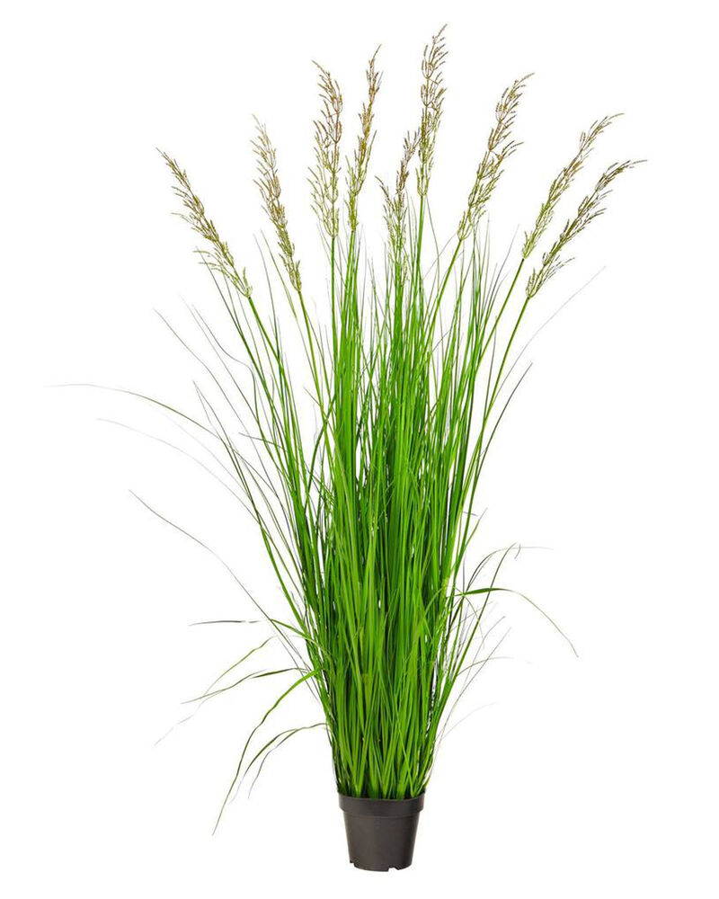 Nearly Natural 5.5-in Plum Grass Artificial Plant image number 2
