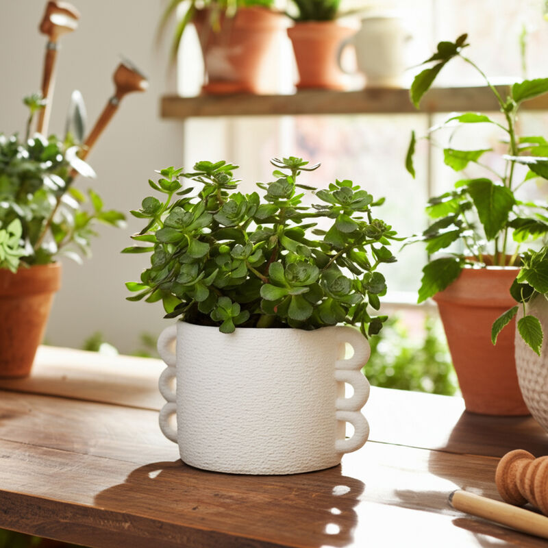 13" White Arch Handle Planter