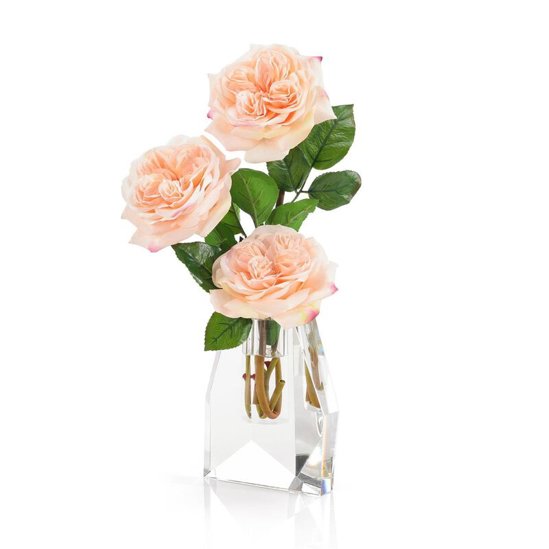 French Garden Rose image number 0