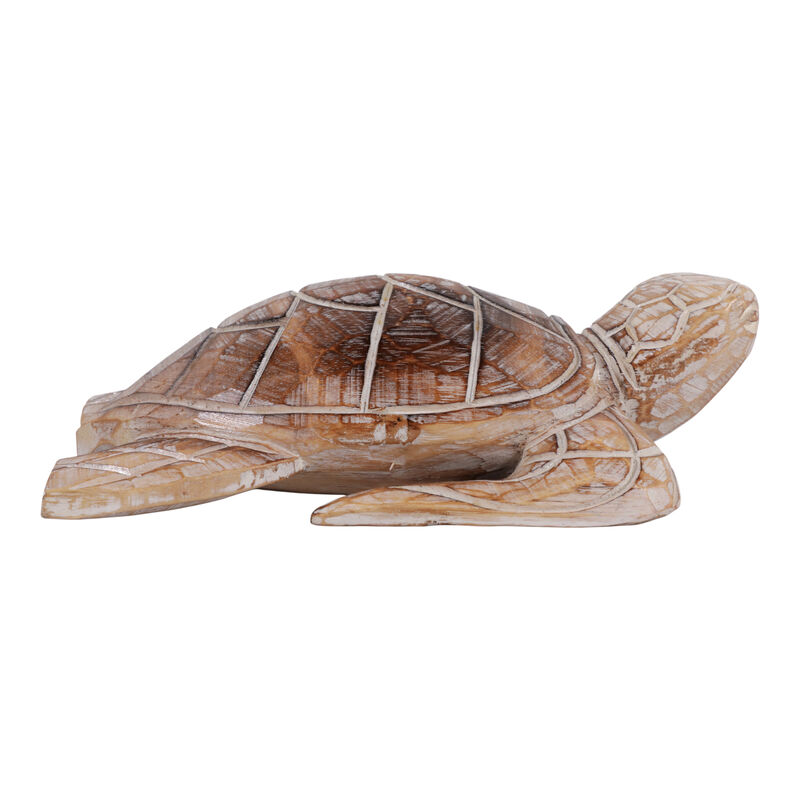 12x8" Alibizia Wood Turtle image number 4