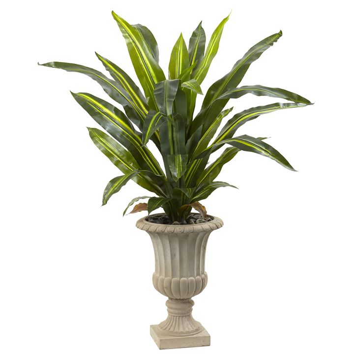 HomPlanti 5" Dracaena Plant with Urn (Real Touch)