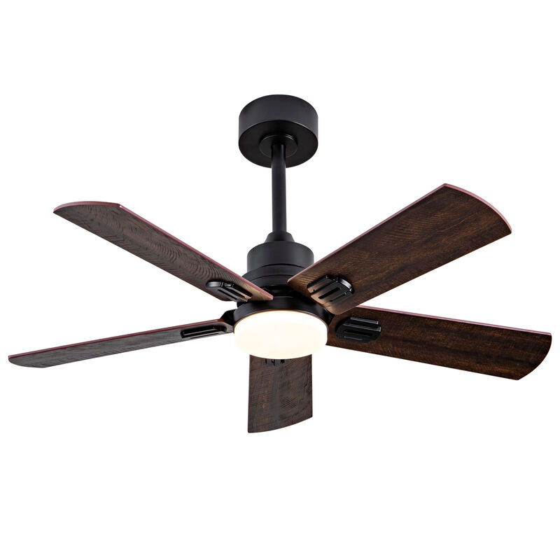 ELEMENT ACE 42 Inch Indoor and Covered Outdoor Ceiling Fan with Dimmable LED Light, Remote Control, Ultra Quiet Reversible DC Motor, 6 Speed Dual Finish Blades image number 4