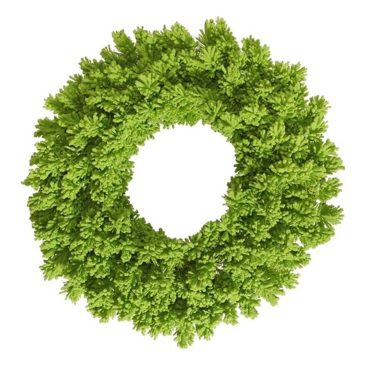 Vickerman 36" Plastic Fir Artificial Christmas Wreath in Flocked Lime Green