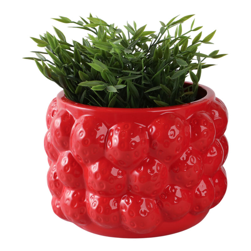Strawberry Flower Planter