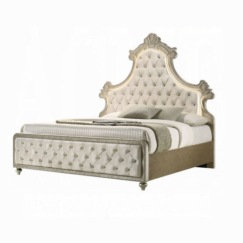 Willa Queen Size Bed, LED Lights, Beige Velvet Upholstery, Brown Wood image number 2