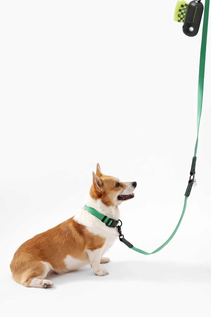 Luna  Adjustable 6-in-1 Waterproof Hands-Free Leash and Collar with LED Flashlight