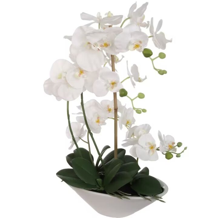 21" Phalaenopsis Orchid Floral Arrangement - 15" Diameter White Vase, Lifelike Artificial Flowers, Elegant Home & Office Decor