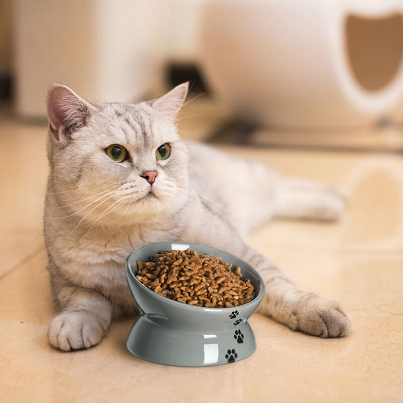 Y YHY Raised Cat Food Bowl, Ceramic Elevated Cat Bowl, Title Angle Protect Cat's Spine, Anti Vomiting Cat Dish, Backflow Prevention, Grey