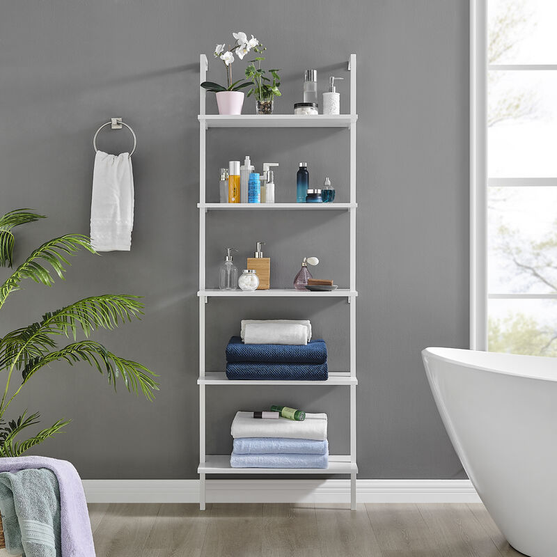 Everett 5-Tier Open Display Stand Wall Mount Modern Metal Frame Ladder Shelf image number 1