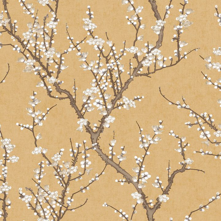 Spring Blossom Sakura Tree Gold Wallpaper 1903-2
