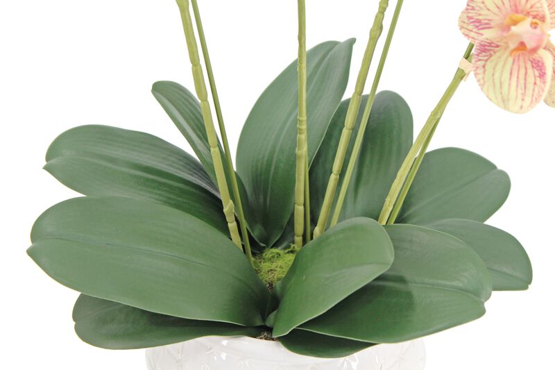Artificial 4-Stem Phalaenopsis Orange Orchid image number 1