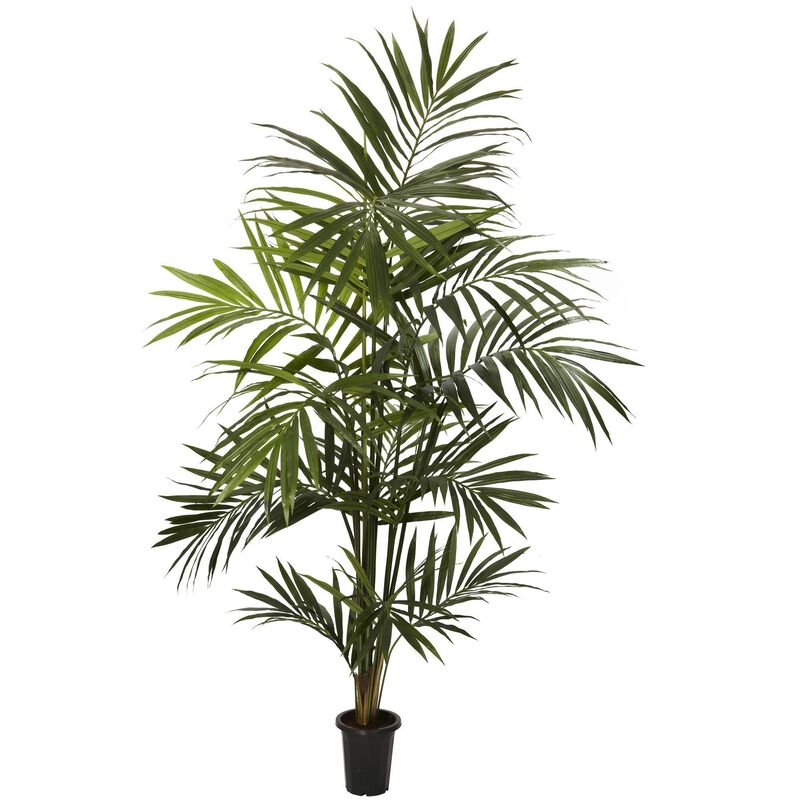 Nearly Natural 7-ft Kentia Palm Tree w/13 Fonds