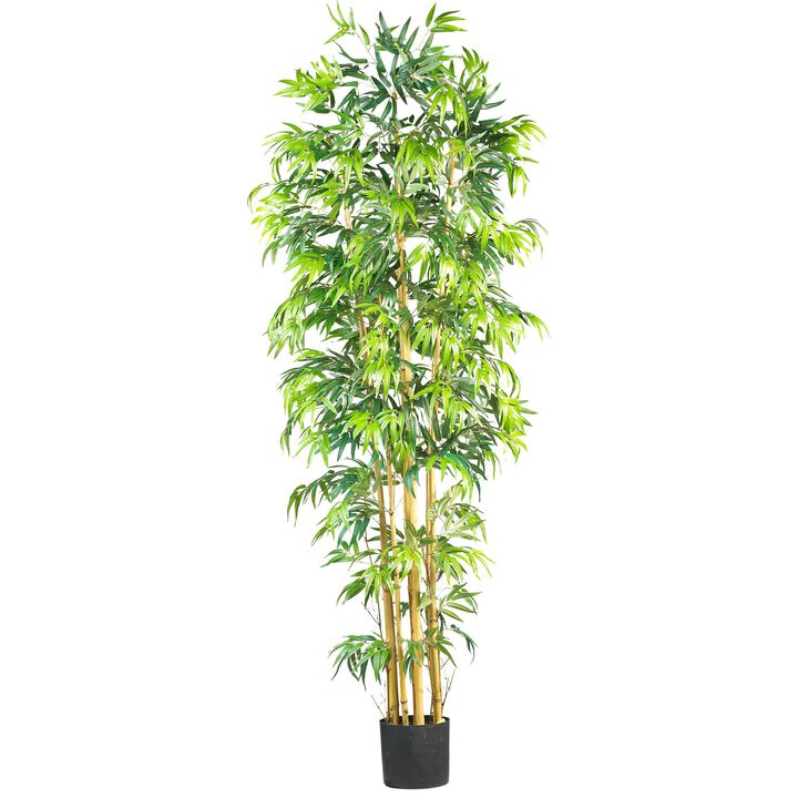 HomPlanti 7 Feet Multi Bambusa Bamboo Silk Tree
