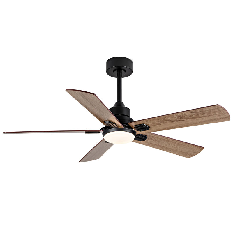 ELEMENT ACE 52 Inch Indoor Outdoor Ceiling Fan with Dimmable LED Light, Quiet Reversible DC Motor, 6 Speed Settings, Remote & App Control for Living Rooms Patios Porches image number 9