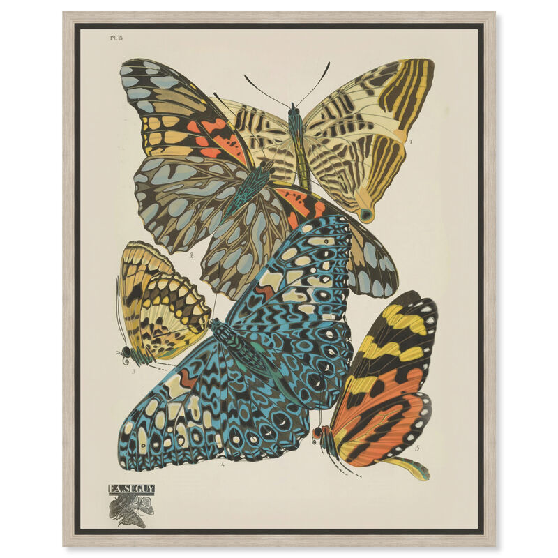Butterflies In Spots Animals Canvas Print by Art Remedy image number 0