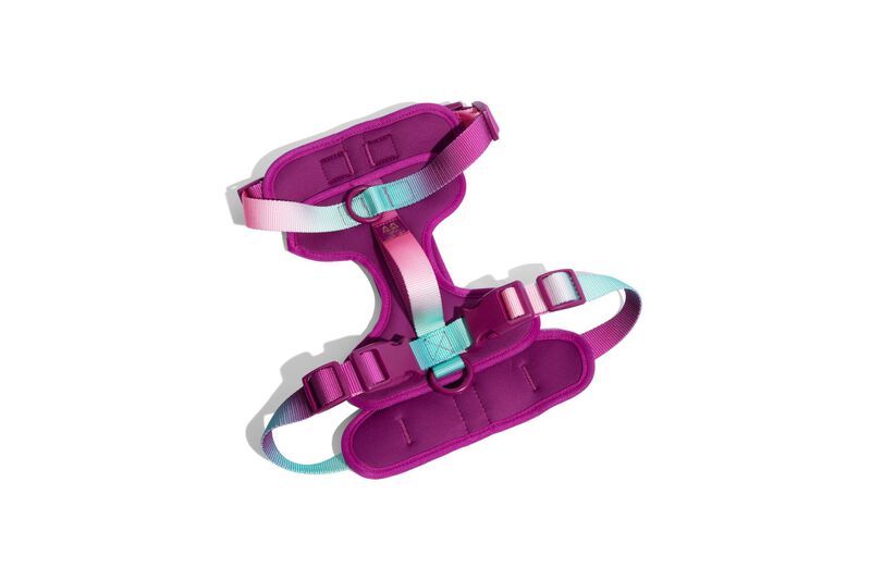 Joanna Dog Harness image number 0