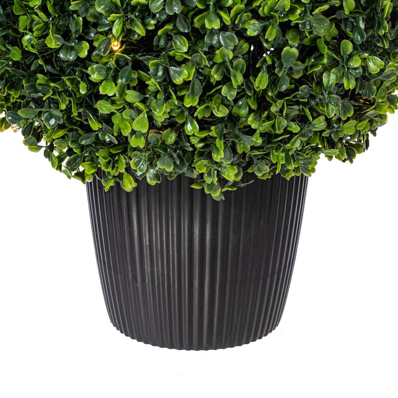 24" Boxwood Teardrop in Pot UV 50WW LED image number 2