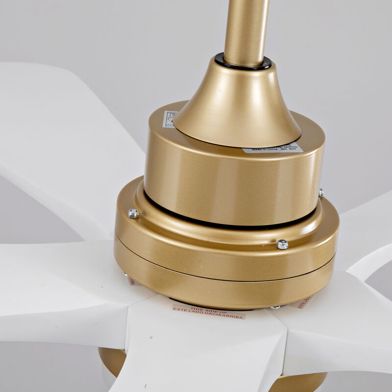 ELEMENT ACE Modern Indoor Ceiling Fan with Dimmable LED Light and Remote Control featuring Energy-Efficient DC Motor image number 4