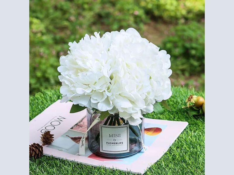 Artificial Peony Flowers Vase Filler Glass Ins Style Flower image number 1