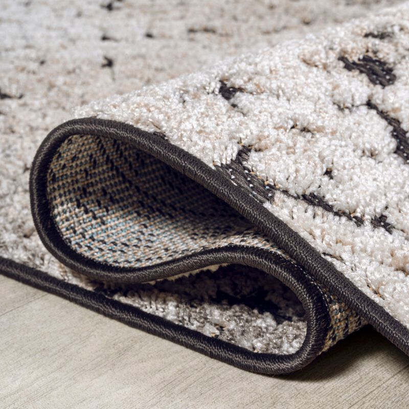 Duenas High-Low Shabby Damask Area Rug