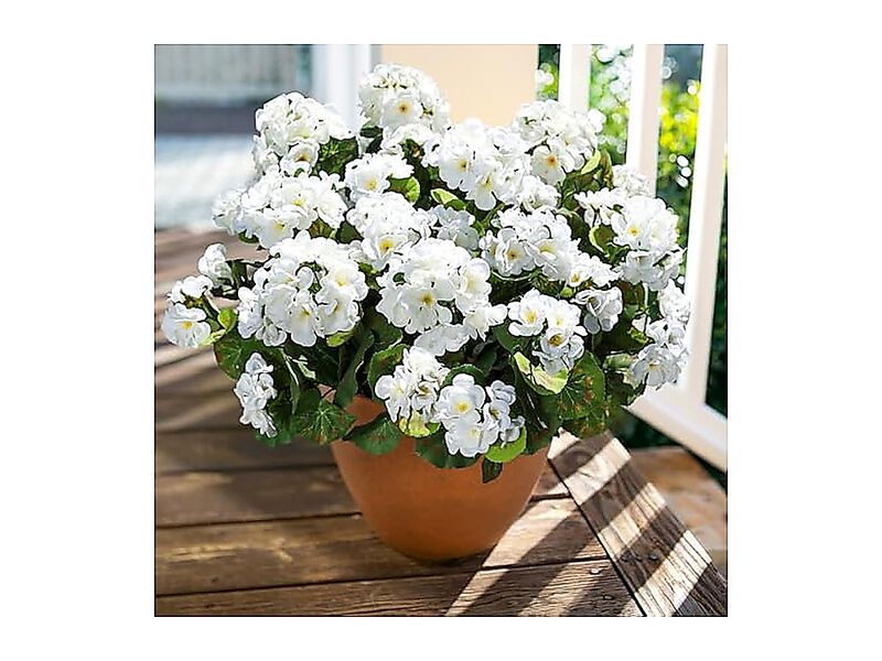 Artificial Geranium Fake Flowers Outdoors Decor 6 Bundles Silk Geraniums White image number 3