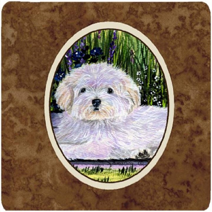Caroline's Treasures SS8430FC Coton de Tulear Foam Coasters (Set of 4), 3.5 H x 3.5 W, Multicolor