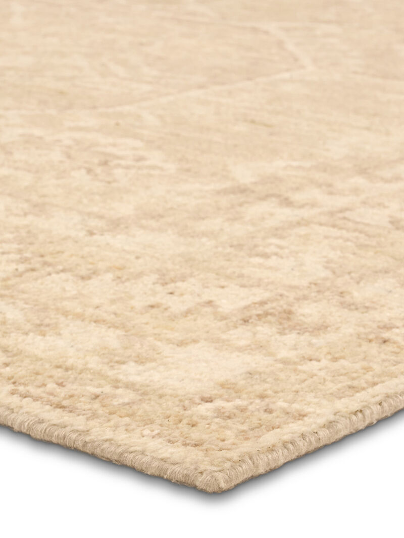 Azad Aires Tan/Taupe 8' x 10' Rug image number 4