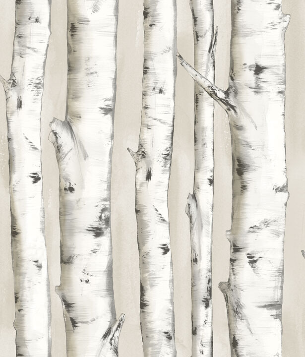 Pioneer Off White Birch Tree Wallpaper