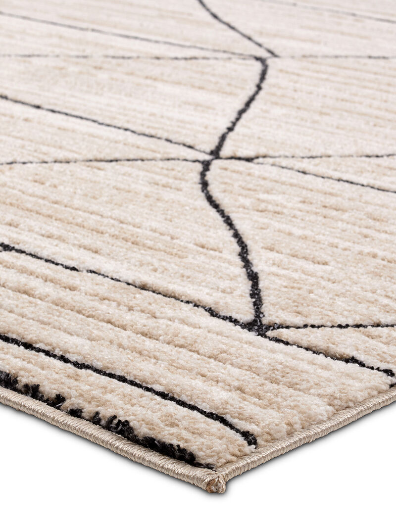 Eva Farhan Tan/Taupe 9'6" x 13'6" Rug image number 3