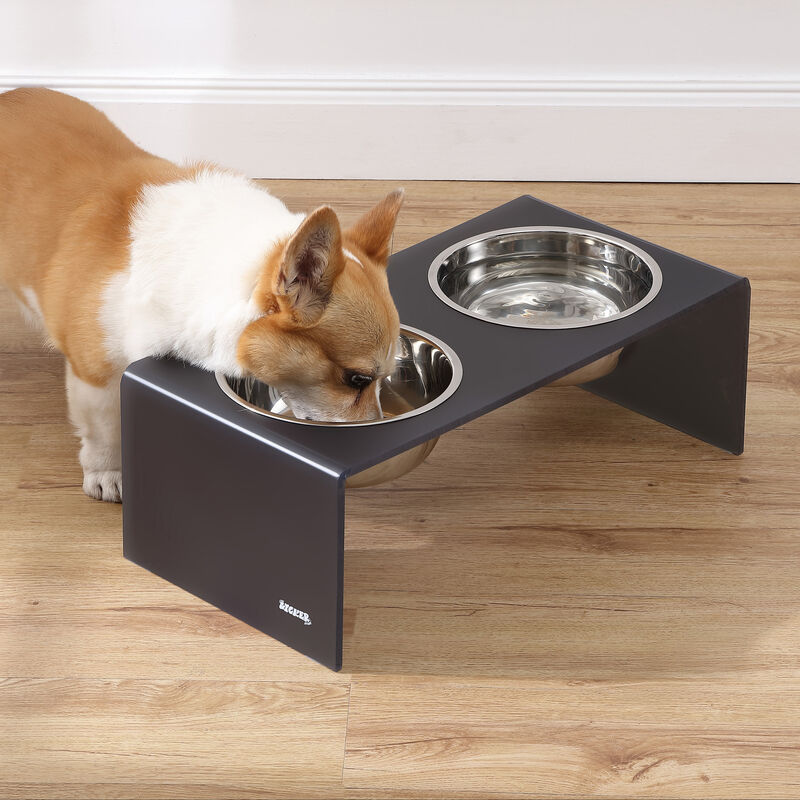 Keaton Modern Acrylic Rectangular Elevated Pet Feeder with Stainless Steel Bowls