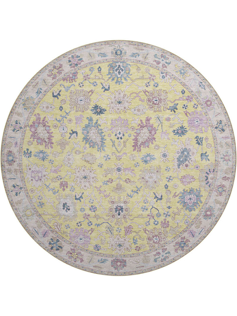 Hatay HY7 Yellow 8' Rug