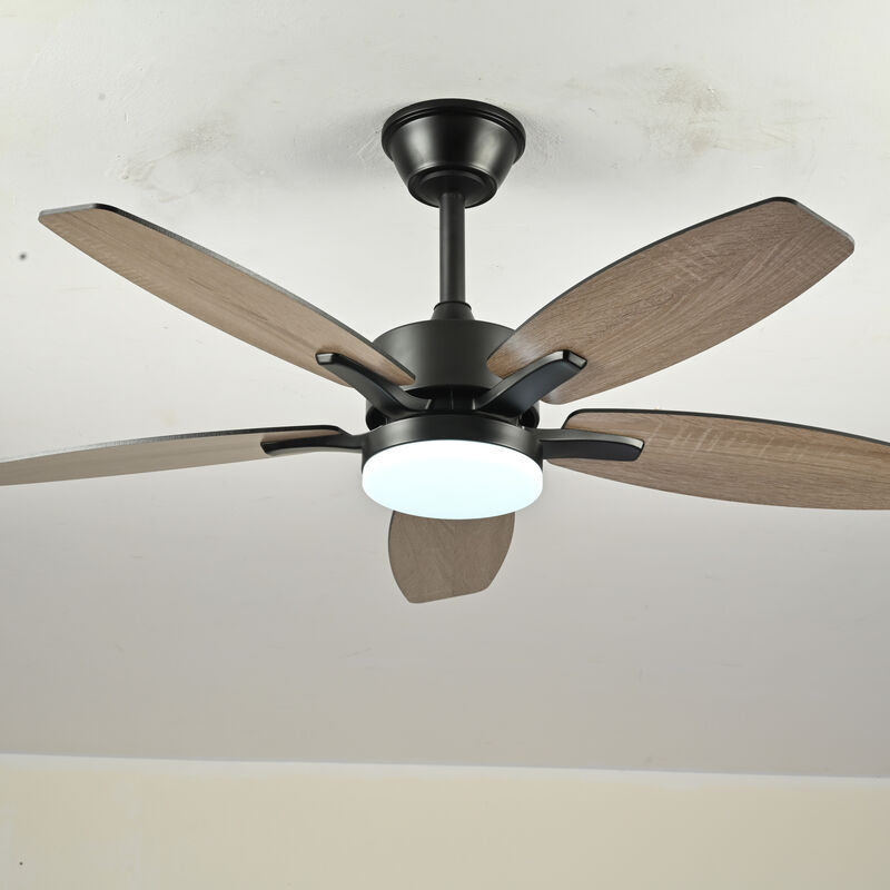 ELEMENT ACE 42 Inch 5 Plywood Blades Ceiling Fan with Lights and Remote Control, Quiet DC Motor 6 Speed Levels Reversible Fan for Indoor Living Room Bedroom Office Patio image number 3