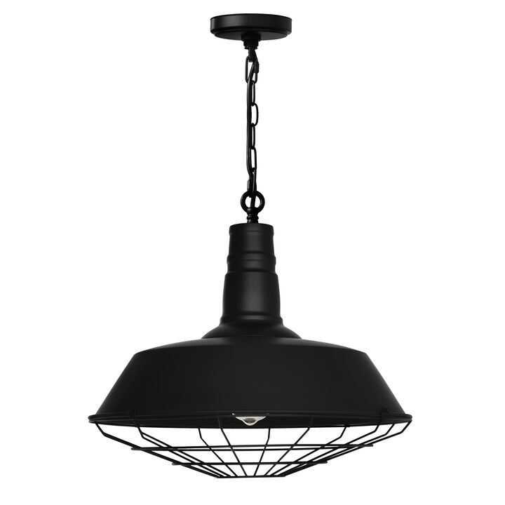 Morgan 1 Light Down Pendant With Black Finish