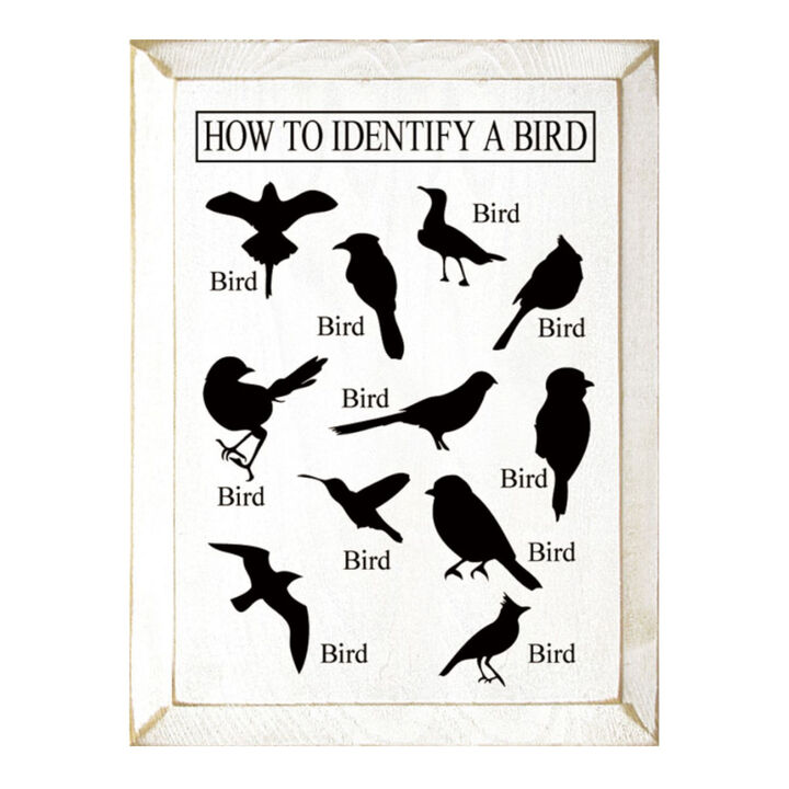 Bird Identification Chart Wall Decor From Solid Knotty Pine