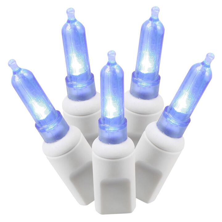 Vickerman ight Italian LED Light Set Blue Lights on White Wire